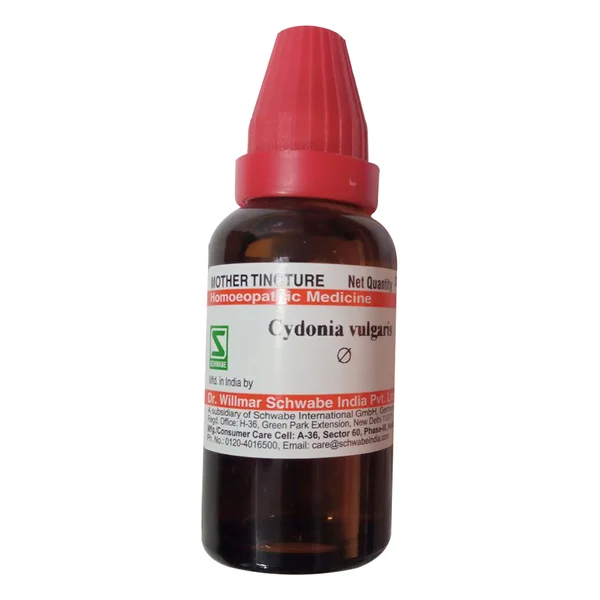 Dr.Willmar Schwabe India Cydonia Vulgaris Mother Tincture, 30 ml