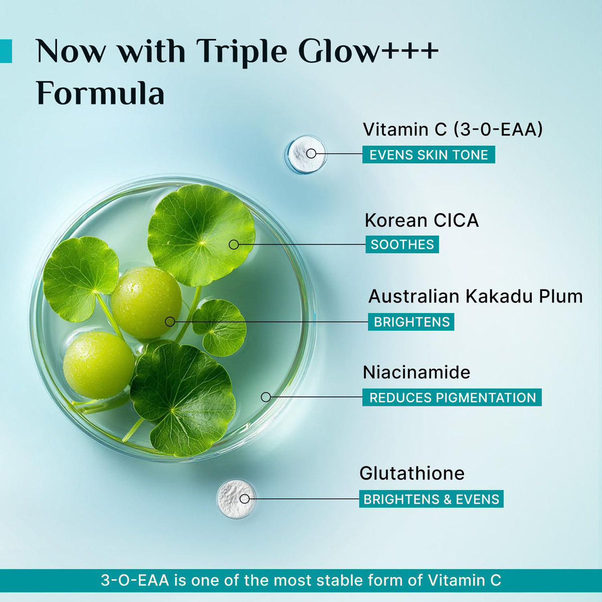 Pilgrim 10% Vitamin-C Face Serum, 10 ml, Pack of 1 Pilgrim 10% Vitamin-C Face Serum, 10 ml, Pack of 1