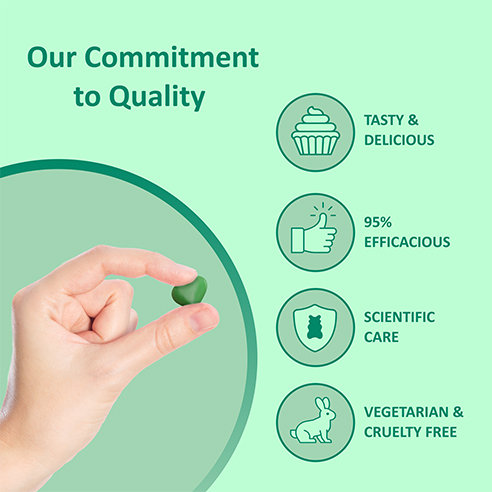 Power Gummies Apple Cider Vinegar Green Apple Flavour for Weight Management, 60 Gummies, Pack of 1 Power Gummies Apple Cider Vinegar Green Apple Flavour for Weight Management, 60 Gummies, Pack of 1