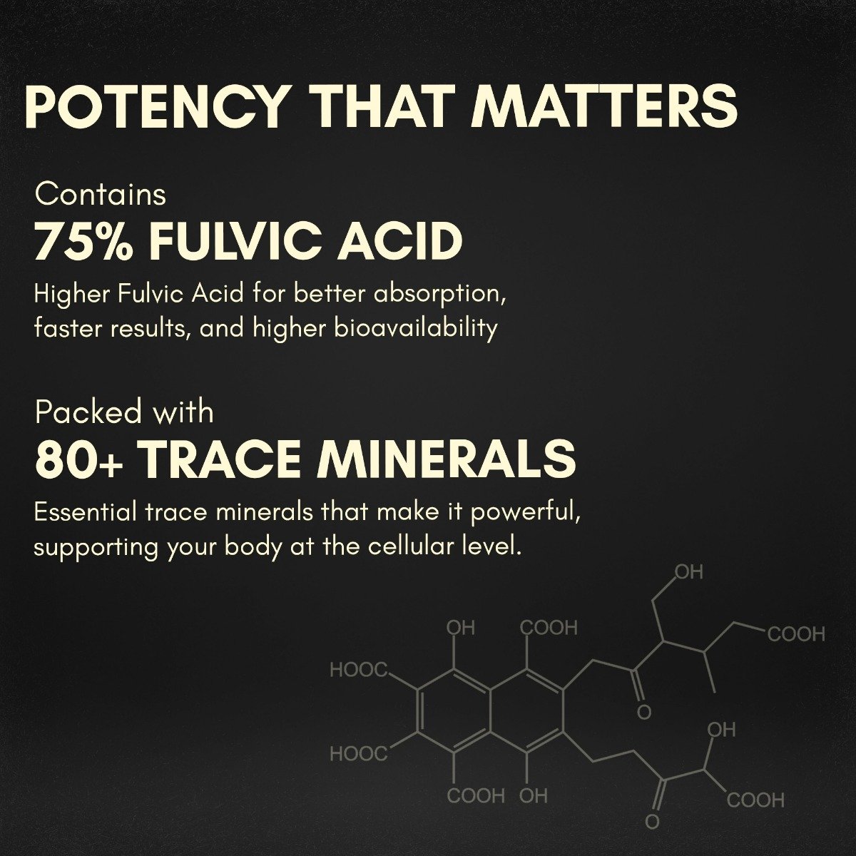 Rasayanam Shilajit Gold Resin, 20 gm, Pack of 1 Rasayanam Shilajit Gold Resin, 20 gm, Pack of 1