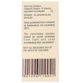 Reflin 1gm Injection 1's, Pack of 1 INJECTION