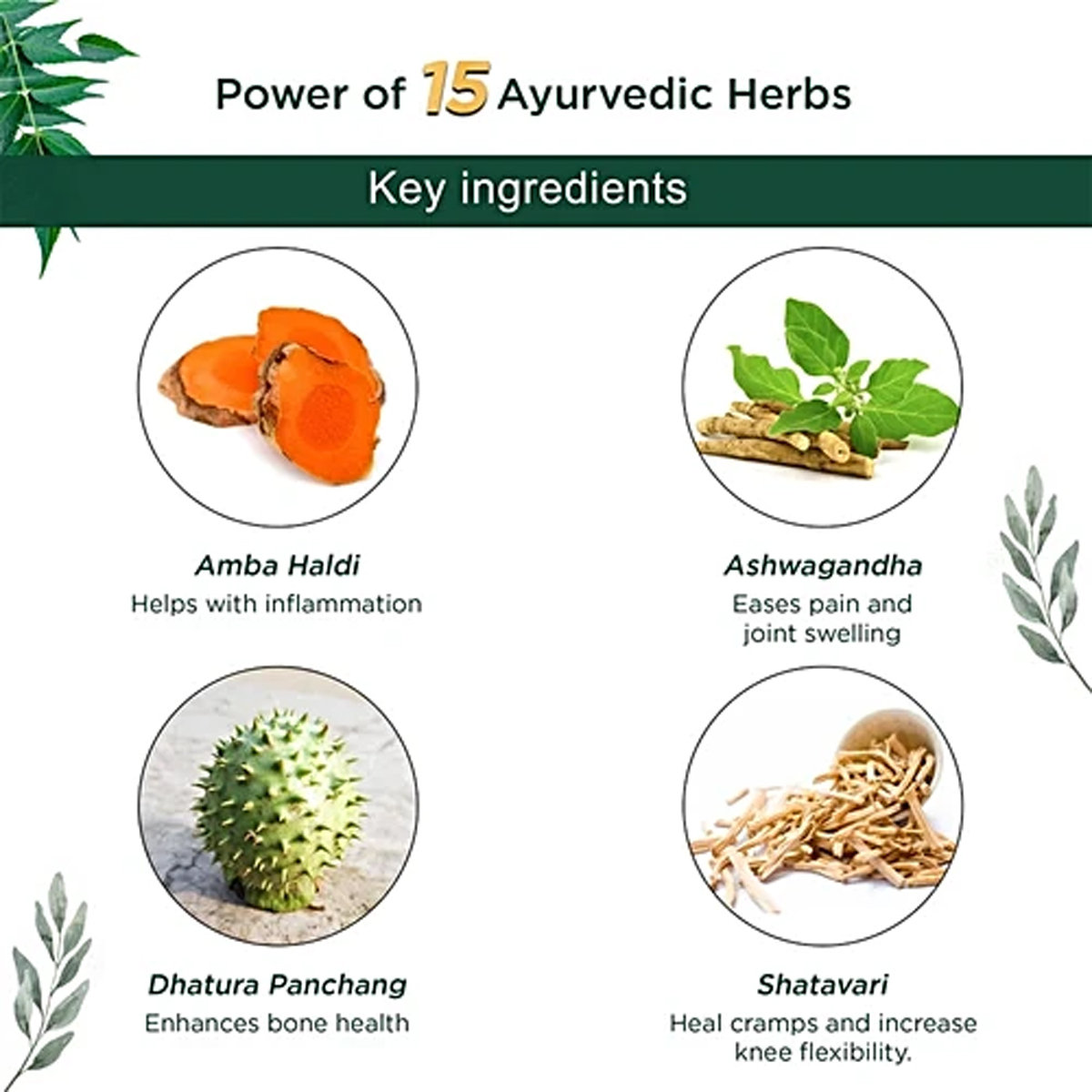 Baidyanath Rhuma Oil, 100 ml, Pack of 1 Baidyanath Rhuma Oil, 100 ml, Pack of 1