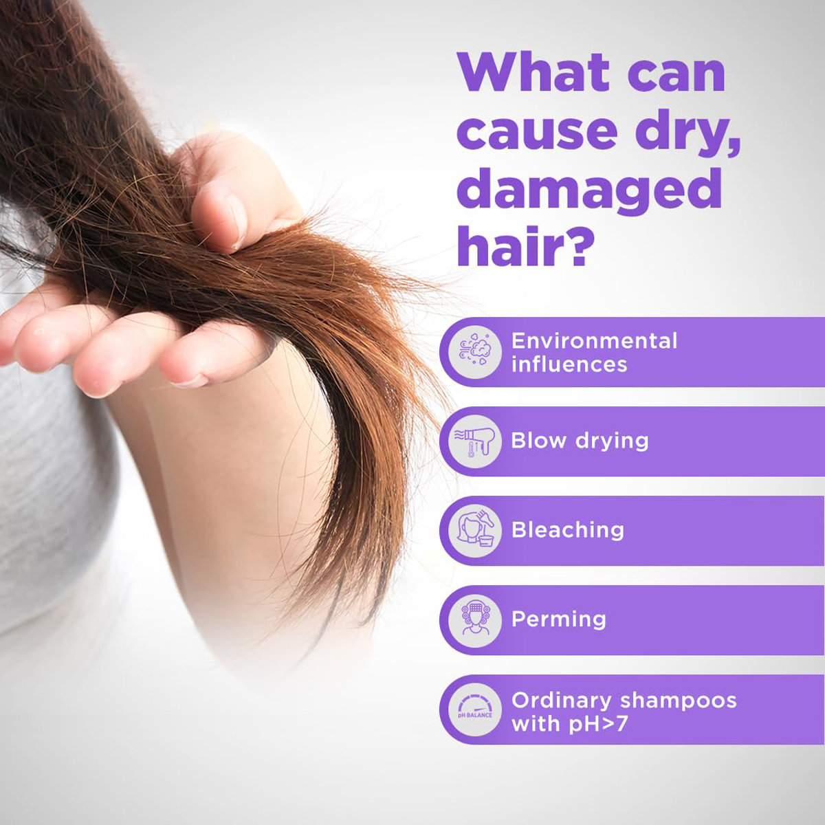 Sebamed pH 5.5 Hair Repair Shampoo, 200 ml, Pack of 1 Sebamed pH 5.5 Hair Repair Shampoo, 200 ml, Pack of 1