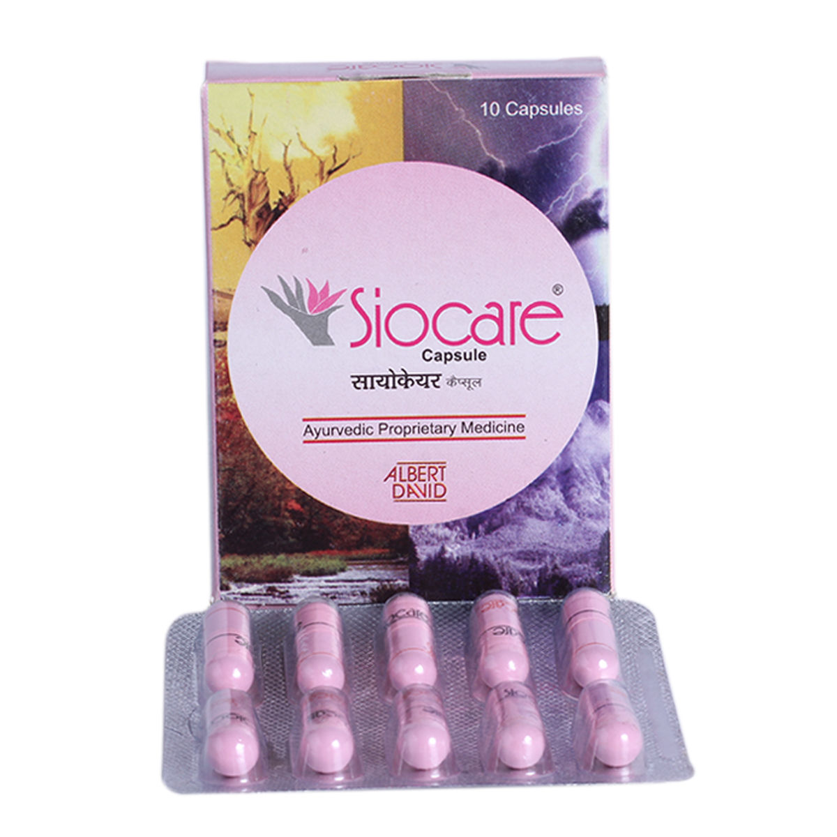 Siocare Capsule, 10 Capsules, Pack of 10 S