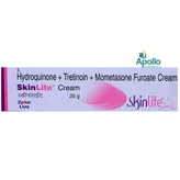 SkinLite Cream 25 gm, Pack of 1 CREAM