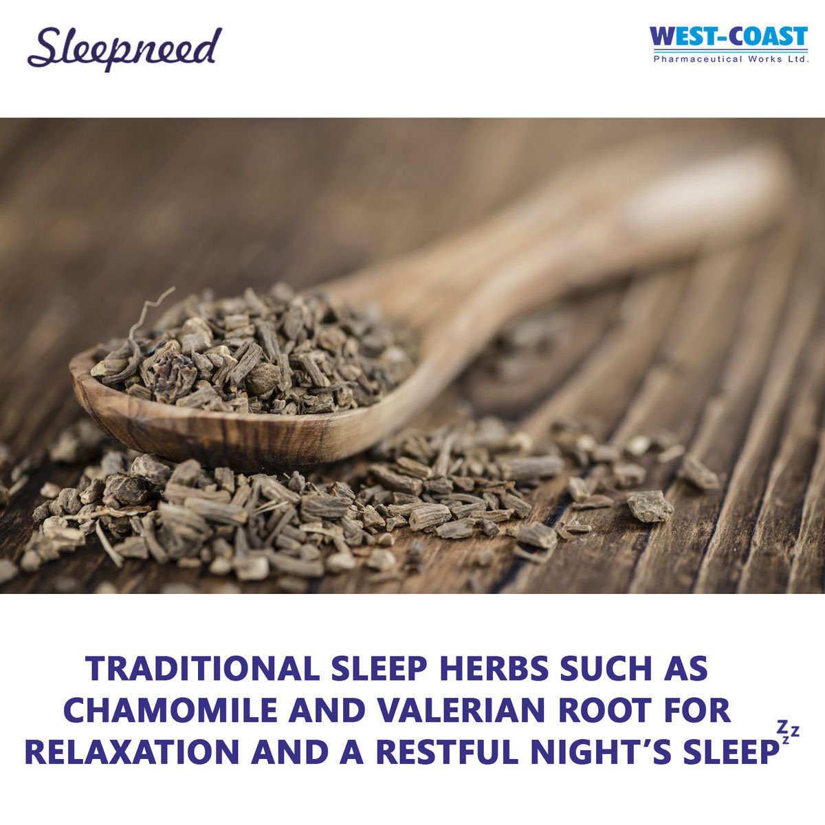 Westcoast Sleepneed Melatonin Syrup, 100 ml, Pack of 1 Syrup Westcoast Sleepneed Melatonin Syrup, 100 ml, Pack of 1 Syrup