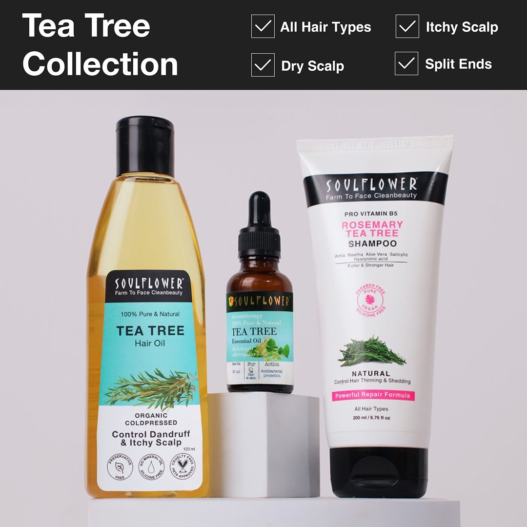 Soulflower Tea Tree Hair Oil for Dandruff & Itchy Scalp, 120 ml, Pack of 1 Soulflower Tea Tree Hair Oil for Dandruff & Itchy Scalp, 120 ml, Pack of 1