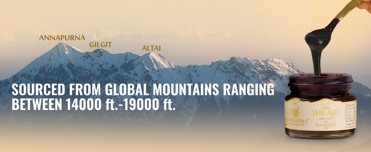 Upakarma Ayurveda Pure Shilajit Resin Form with Gold Dust, 20 gm, Pack of 1 Upakarma Ayurveda Pure Shilajit Resin Form with Gold Dust, 20 gm, Pack of 1