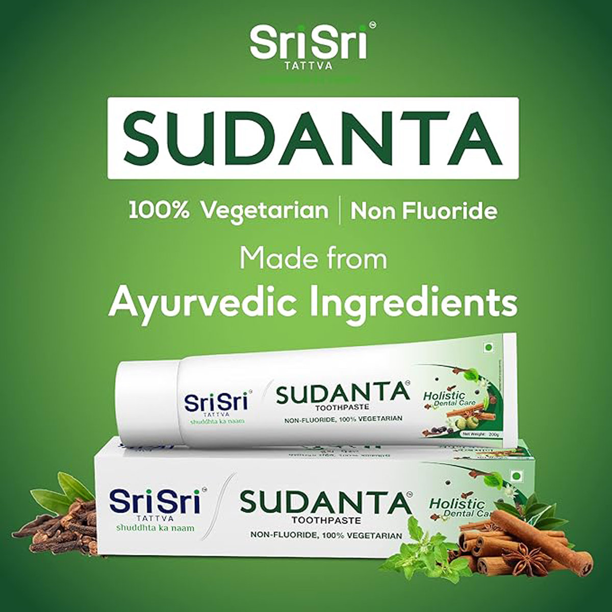 Sri Sri Tattva Sudanta Toothpaste, 100 gm, Pack of 1 Sri Sri Tattva Sudanta Toothpaste, 100 gm, Pack of 1