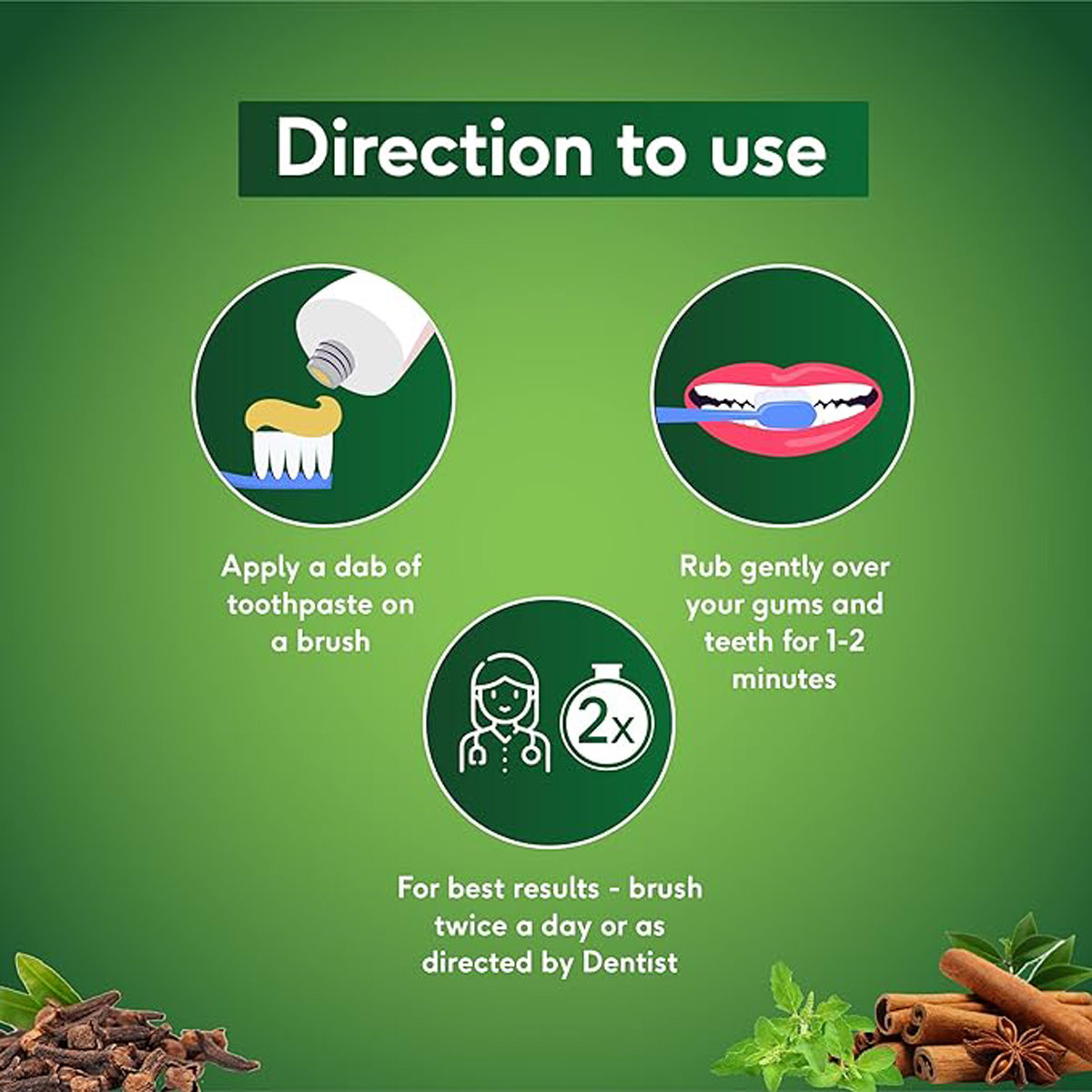 Sri Sri Tattva Sudanta Toothpaste, 100 gm, Pack of 1 Sri Sri Tattva Sudanta Toothpaste, 100 gm, Pack of 1