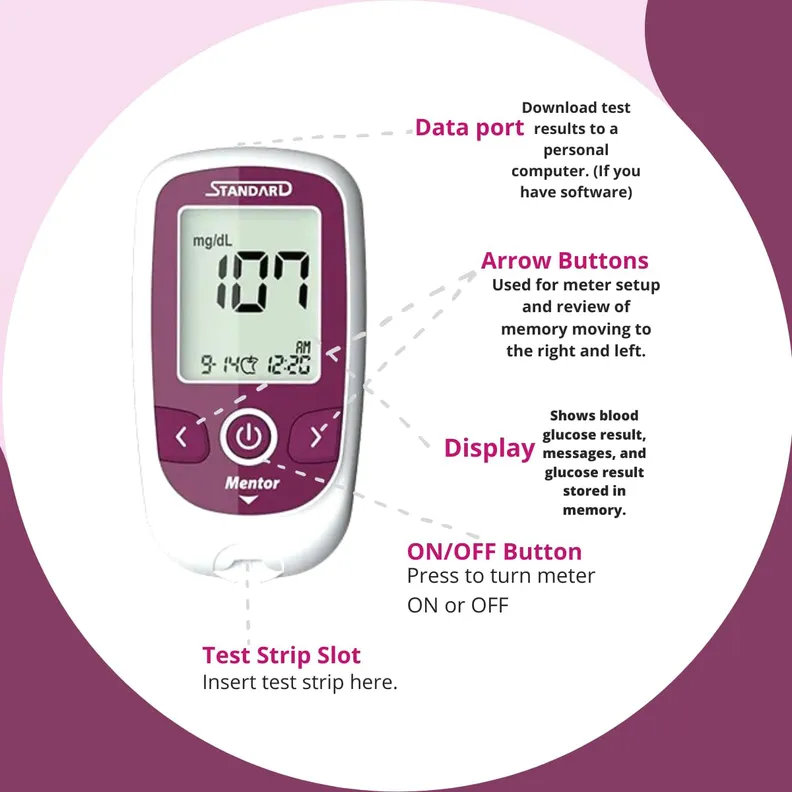 Buy SD Biosensor Standard Mentor Blood Glucose Meter 01GM21, 1 Count ...