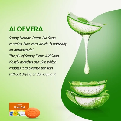 Sunny Herbals Derm Aid Soap, 75 gm, Pack of 1