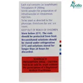 Targocid 200 mg Injection, Pack of 1 INJECTION