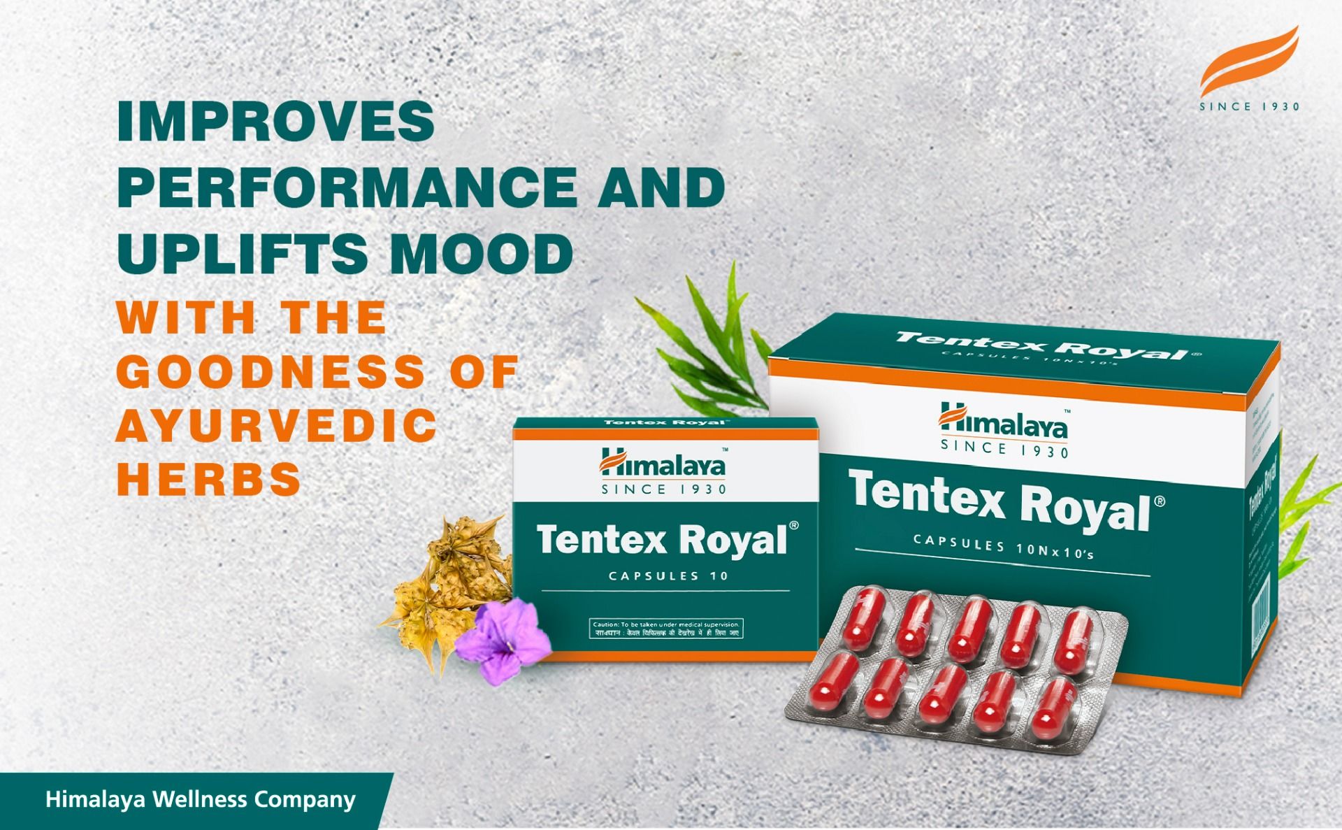 Himalya Tentex Royal, 10 Capsules | Uses, Benefits, Price | Apollo Pharmacy