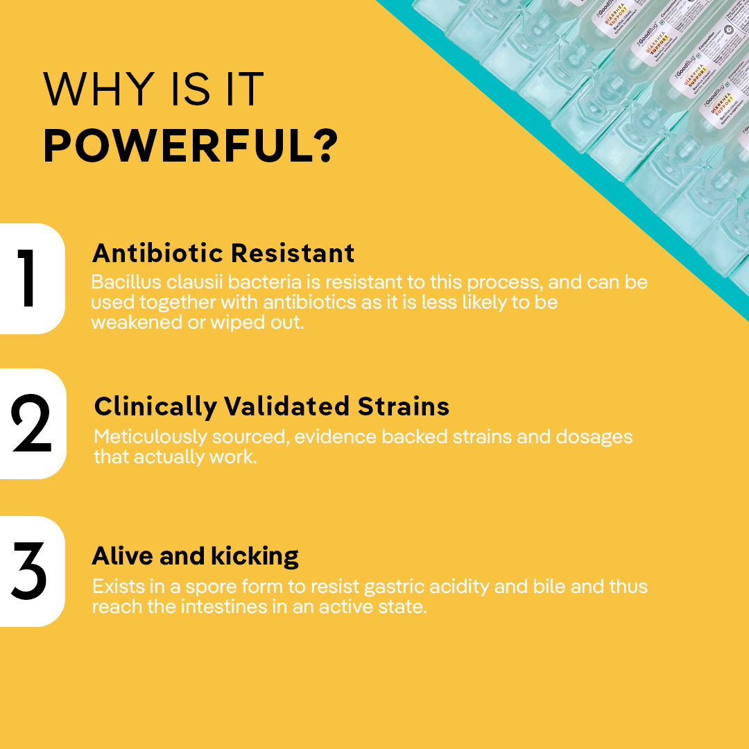 The Good Bug Diarrhea Support Suspension, 5ml x 10'S, Pack of 1 The Good Bug Diarrhea Support Suspension, 5ml x 10'S, Pack of 1