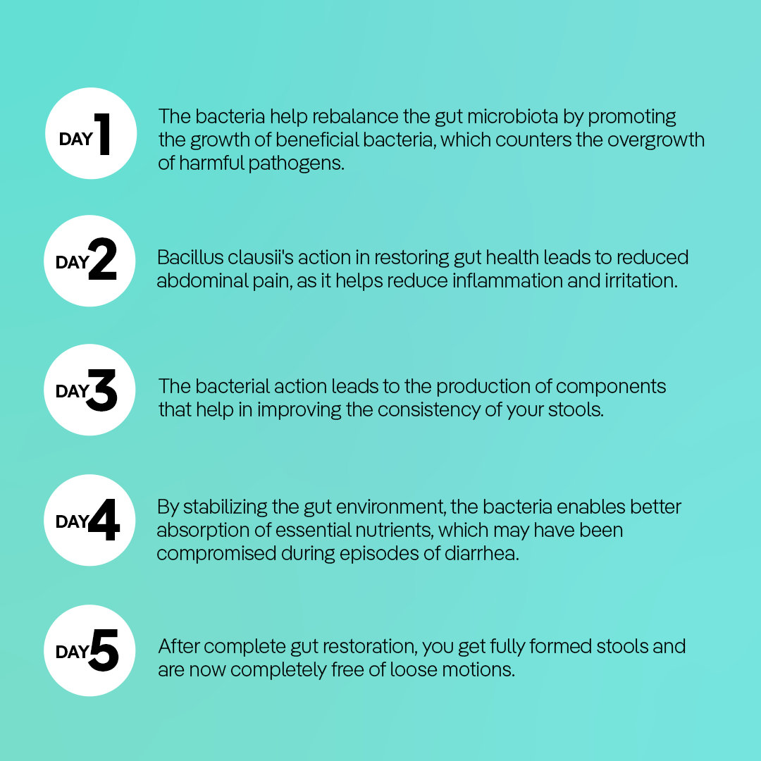 The Good Bug Diarrhea Support Suspension, 5ml x 10'S, Pack of 1 The Good Bug Diarrhea Support Suspension, 5ml x 10'S, Pack of 1