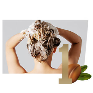 Tresemme Pro Protect Moroccan Argan Oil Conditioner, 190 ml, Pack of 1 Tresemme Pro Protect Moroccan Argan Oil Conditioner, 190 ml, Pack of 1