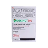Vanking 500 mg Injection 1's, Pack of 1 Injection