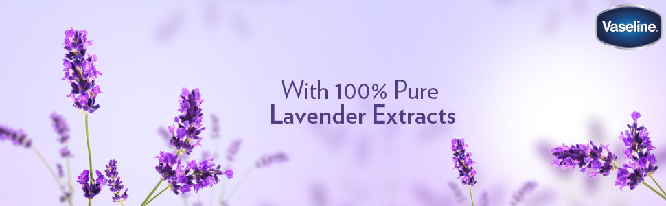 Vaseline Intensive Care Calming Lavender Body Lotion 400 ml | With Lavender Extract | Intense Moisturization | For Healthy Skin | Non Greasy & Fast Absorbing, Pack of 1 Vaseline Intensive Care Calming Lavender Body Lotion 400 ml | With Lavender Extract | Intense Moisturization | For Healthy Skin | Non Greasy & Fast Absorbing, Pack of 1