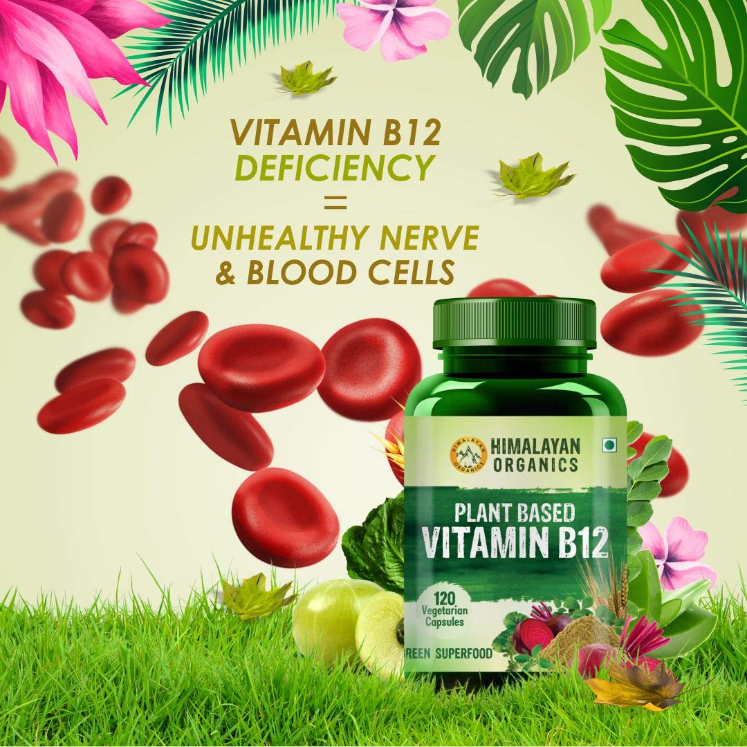 Himalayan Organics Plant Based Vitamin B12, 120 Capsules Price, Uses ...