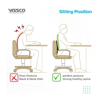 Vissco Smart Orthopedic Back Rest Universal, 1 Count, Pack of 1