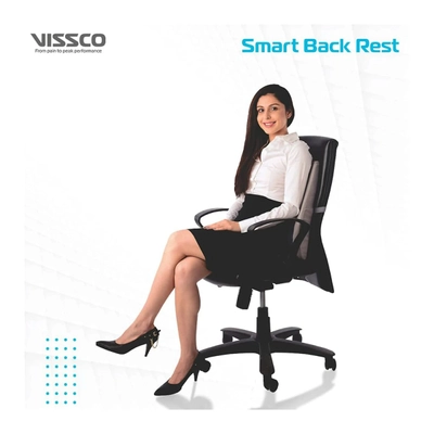 Vissco Smart Orthopedic Back Rest Universal, 1 Count, Pack of 1