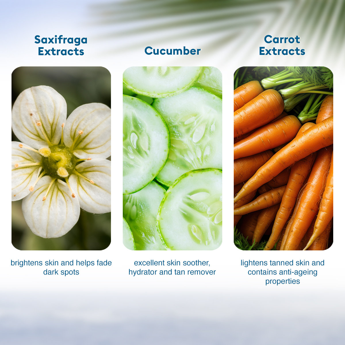 VLCC De-Tan SPF 50 PA+++ Sunscreen Gel Creme, 100 gm, Pack of 1 VLCC De-Tan SPF 50 PA+++ Sunscreen Gel Creme, 100 gm, Pack of 1