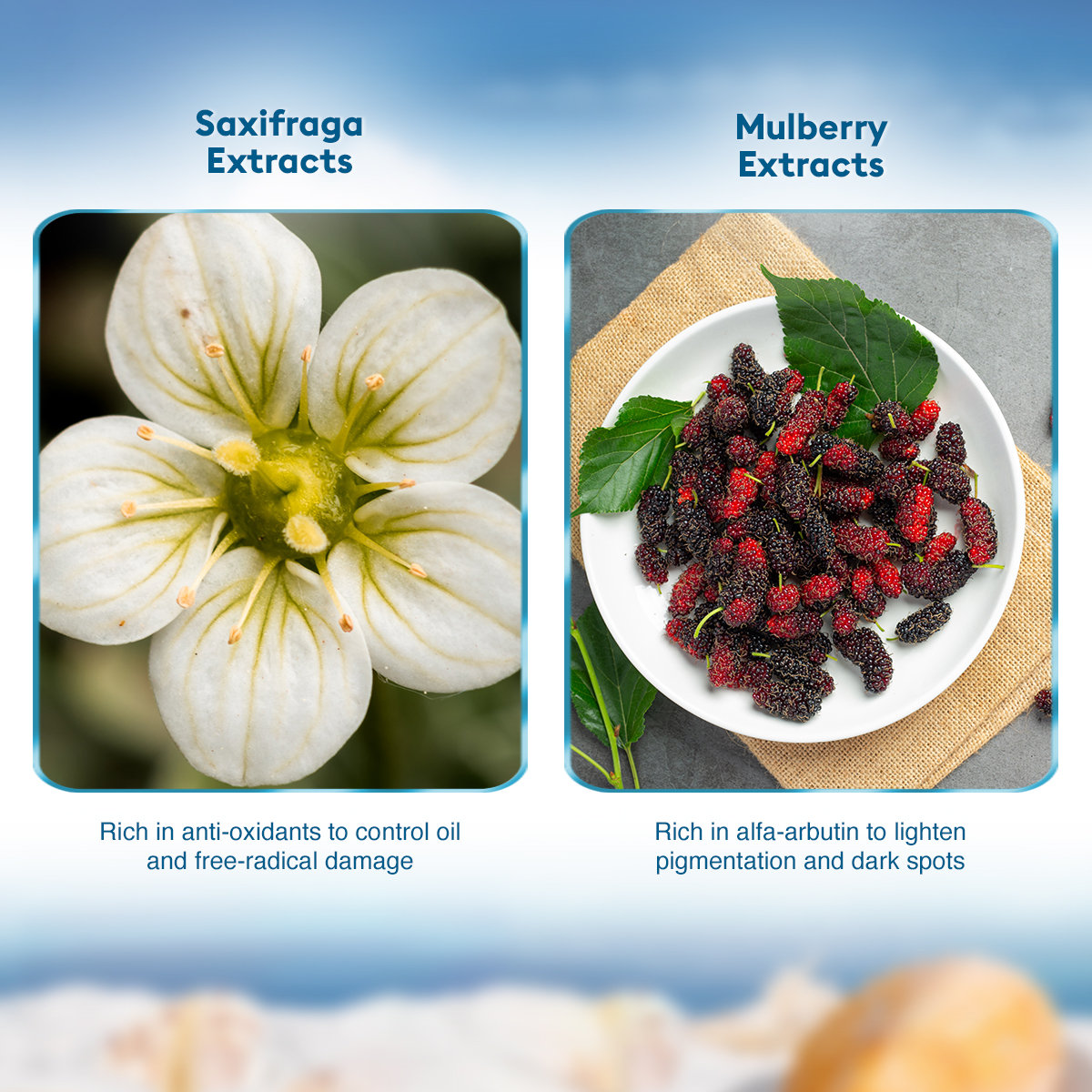 VLCC 3D Youth Boost SPF 40 PA+++ Sunscreen Gel Creme, 25 gm, Pack of 1 VLCC 3D Youth Boost SPF 40 PA+++ Sunscreen Gel Creme, 25 gm, Pack of 1