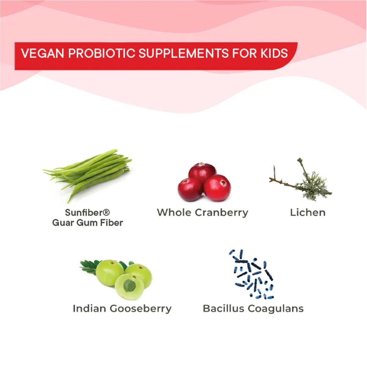 Wellbeing Nutrition Melts Into Active Frozen Probiotic Strips, 30 Count, Pack of 1 Wellbeing Nutrition Melts Into Active Frozen Probiotic Strips, 30 Count, Pack of 1