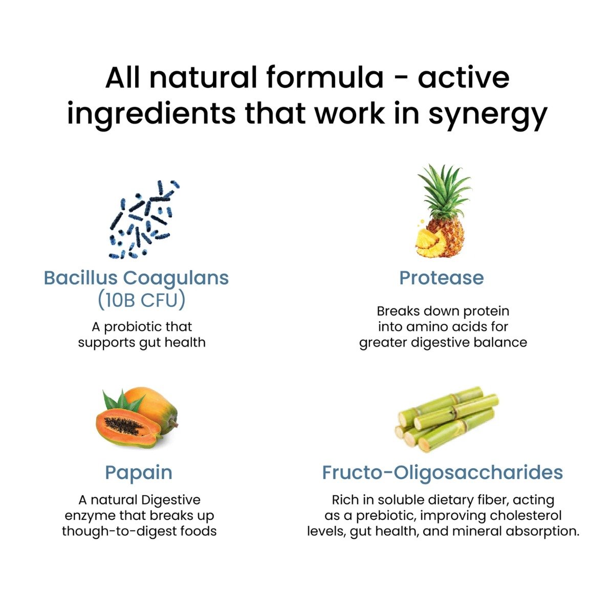 Wellbeing Nutrition Melts Healthy Gut Probiotics Mixed Berry Flavour, 30 Strips, Pack of 1 Wellbeing Nutrition Melts Healthy Gut Probiotics Mixed Berry Flavour, 30 Strips, Pack of 1