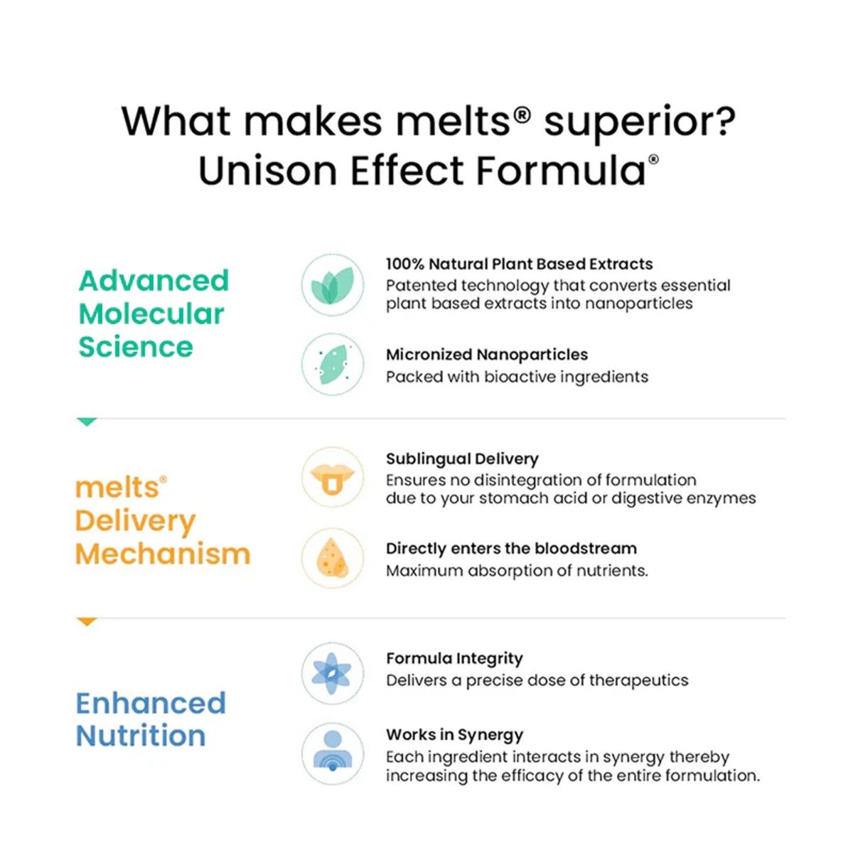 Wellbeing Nutrition Melts Healthy Gut Probiotics Mixed Berry Flavour, 30 Strips, Pack of 1 Wellbeing Nutrition Melts Healthy Gut Probiotics Mixed Berry Flavour, 30 Strips, Pack of 1