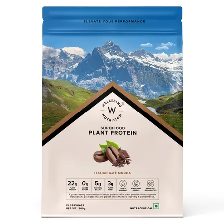 Wellbeing Nutrition Plant Protein Italian Cafe Mocha Flavour Powder, 500 gm | 22g Protein, 5g BCAA, 3B CFU Probiotics, Enzymes, 3g Fiber, 5 Alkalizing Green | NO Bloating, Easy to Digest