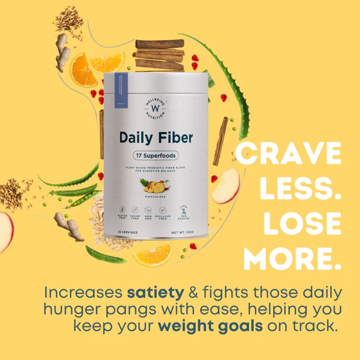 Wellbeing Nutrition Daily Fiber 17 Superfoods Pinacolada Flavour Powder, 240 gm, Pack of 1 Wellbeing Nutrition Daily Fiber 17 Superfoods Pinacolada Flavour Powder, 240 gm, Pack of 1
