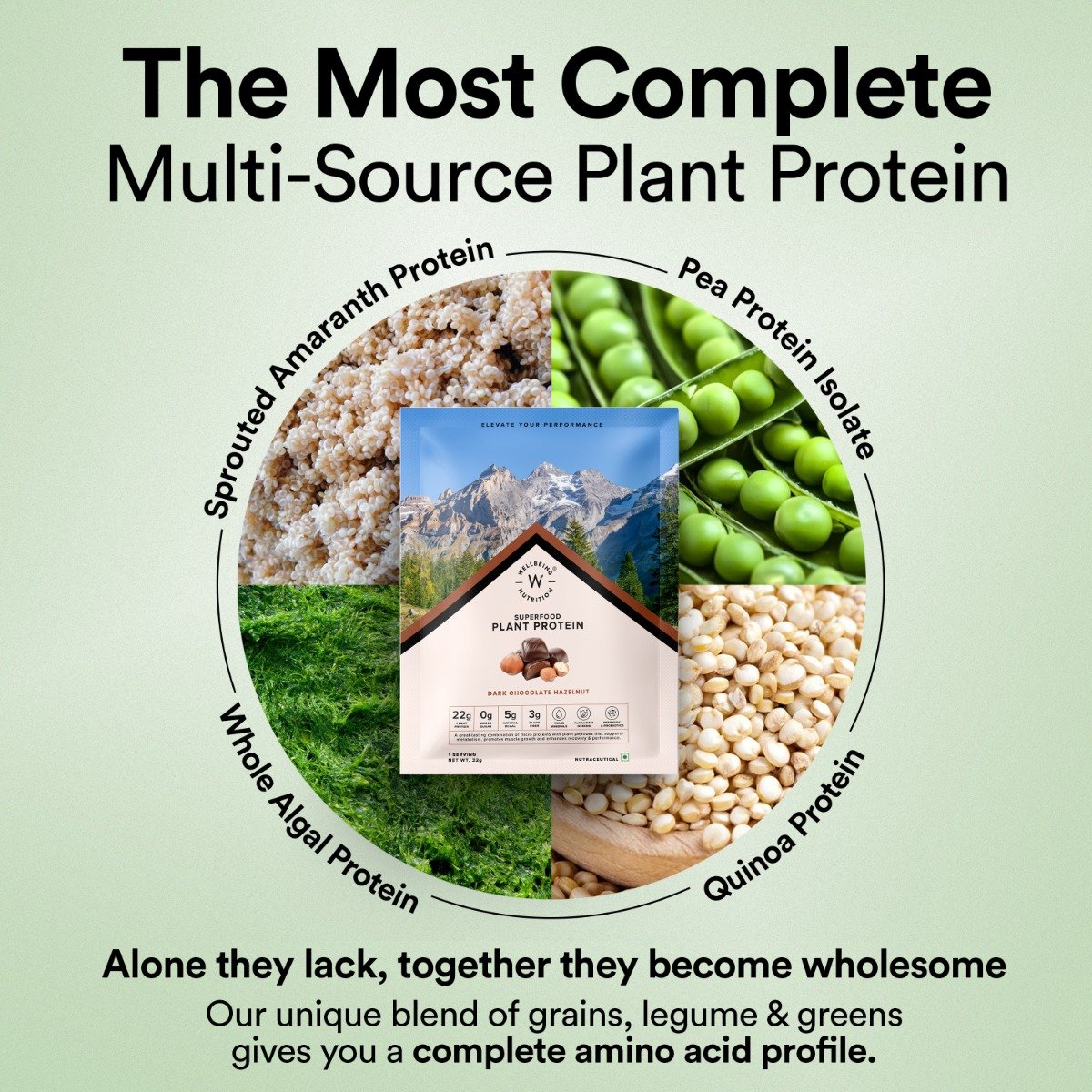 Wellbeing Nutrition Superfood Plant Protein Isolate Dark Chocolate Hazelnut Flavour Powder, 32 gm, Pack of 1 Wellbeing Nutrition Superfood Plant Protein Isolate Dark Chocolate Hazelnut Flavour Powder, 32 gm, Pack of 1