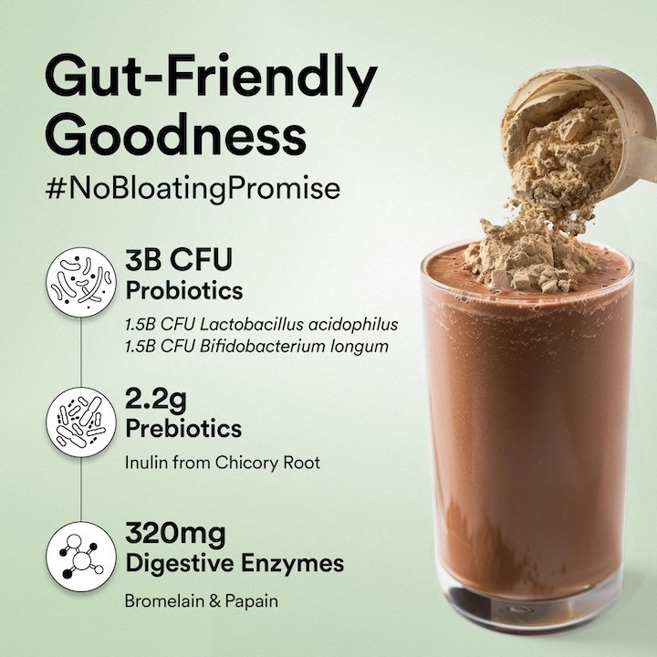 Wellbeing Nutrition Superfood Plant Protein Isolate Dark Chocolate Hazelnut Flavour Powder, 32 gm, Pack of 1 Wellbeing Nutrition Superfood Plant Protein Isolate Dark Chocolate Hazelnut Flavour Powder, 32 gm, Pack of 1