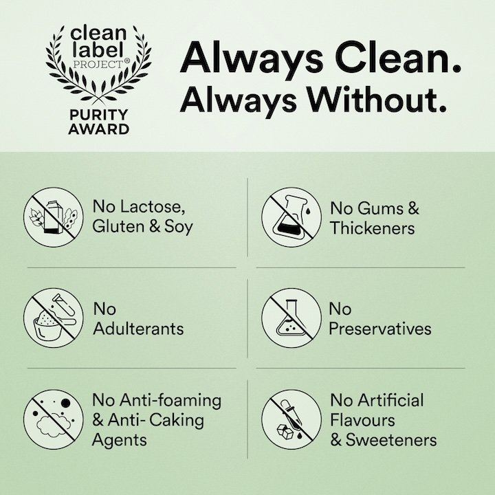 Wellbeing Nutrition Superfood Plant Protein Isolate Dark Chocolate Hazelnut Flavour Powder, 32 gm, Pack of 1 Wellbeing Nutrition Superfood Plant Protein Isolate Dark Chocolate Hazelnut Flavour Powder, 32 gm, Pack of 1