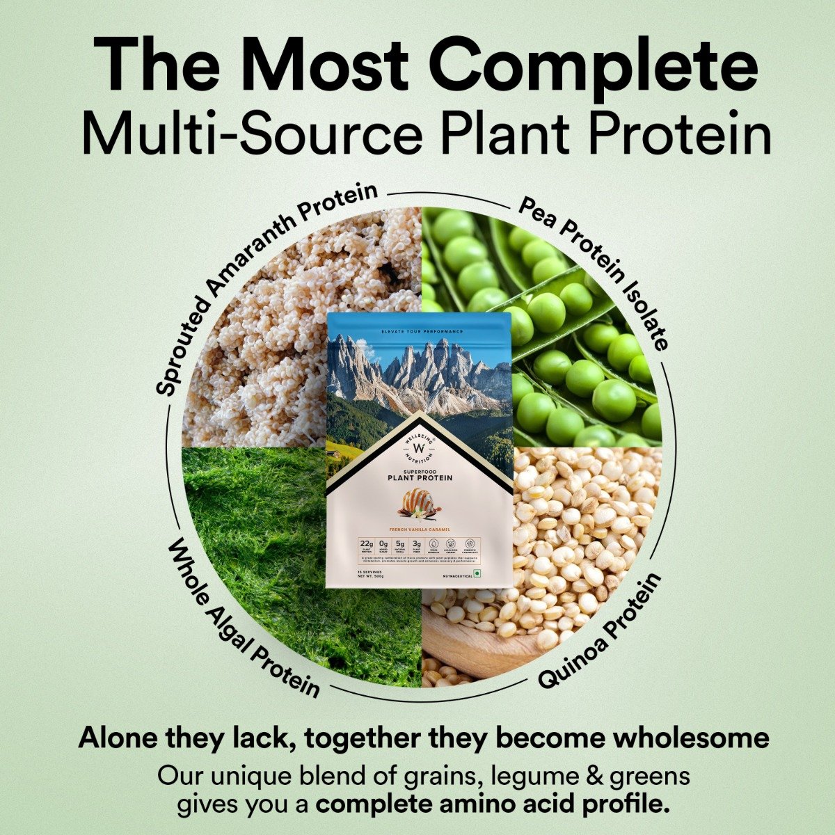 Wellbeing Nutrition Superfood Plant Protein Isolate French Vanilla Flavour Powder, 32 gm, Pack of 1 Wellbeing Nutrition Superfood Plant Protein Isolate French Vanilla Flavour Powder, 32 gm, Pack of 1