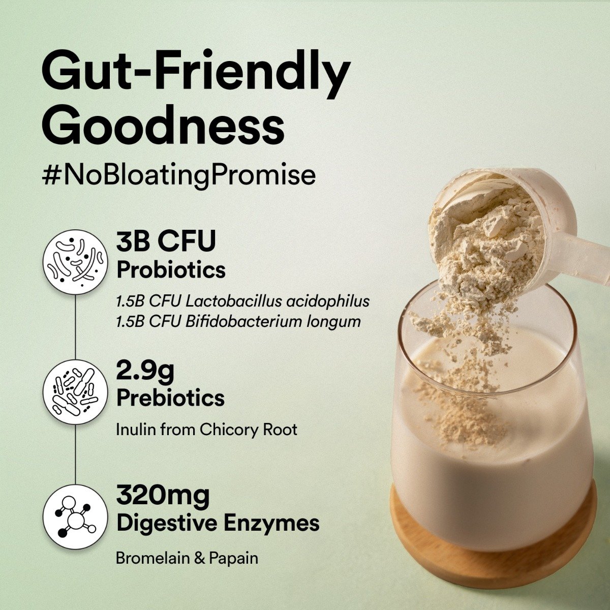 Wellbeing Nutrition Superfood Plant Protein Isolate French Vanilla Flavour Powder, 32 gm, Pack of 1 Wellbeing Nutrition Superfood Plant Protein Isolate French Vanilla Flavour Powder, 32 gm, Pack of 1