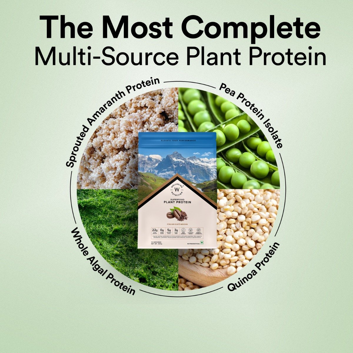 Wellbeing Nutrition Superfood Plant Protein Isolate Italian Cafe Mocha Flavour Powder, 32 gm, Pack of 1 Wellbeing Nutrition Superfood Plant Protein Isolate Italian Cafe Mocha Flavour Powder, 32 gm, Pack of 1