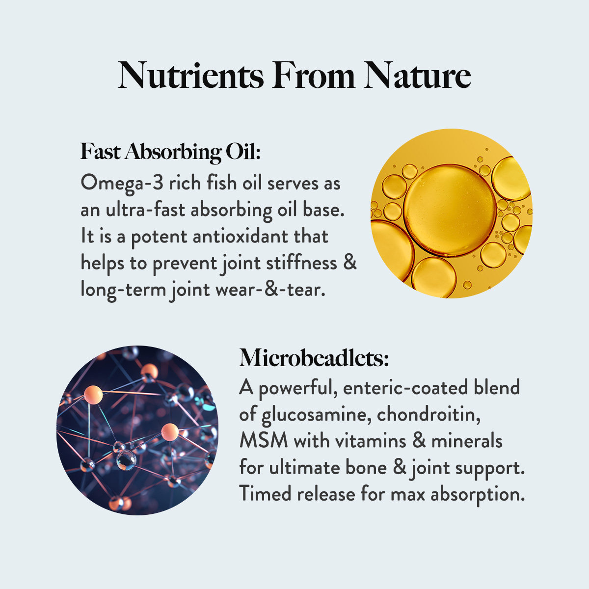 Wellbeing Nutrition Slow Bone Support Capsule 60's, Pack of 1 Wellbeing Nutrition Slow Bone Support Capsule 60's, Pack of 1