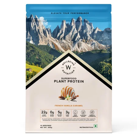 Wellbeing Nutrition Plant Protein French Vanilla Caramel Powder, 500 gm
