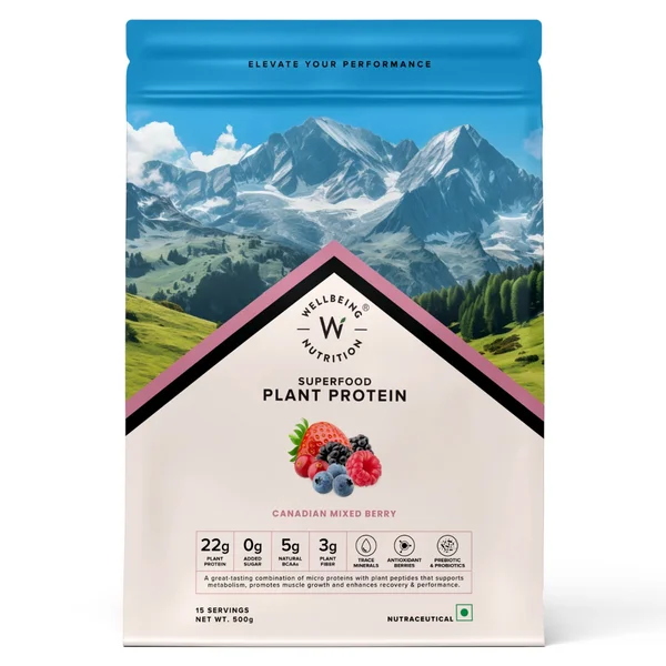 Wellbeing Nutrition Plant Protein Canadian Mixed Berry Flavour Powder, 500 gm, Pack of 1