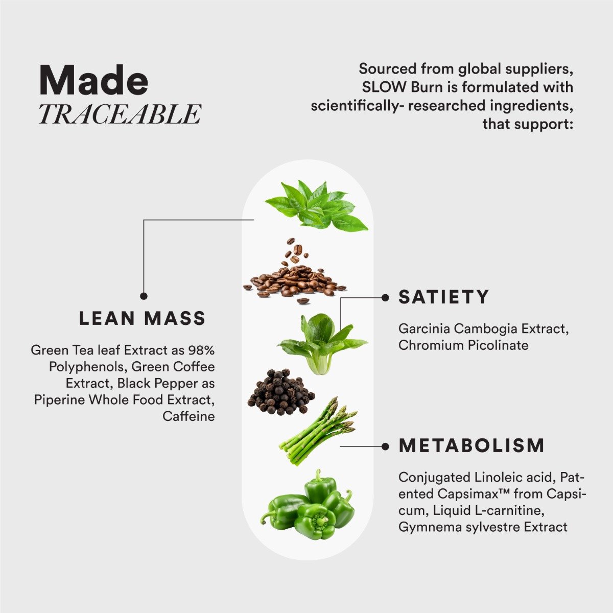 Wellbeing Nutrition Slow Burn, 60 Capsules, Pack of 1 Wellbeing Nutrition Slow Burn, 60 Capsules, Pack of 1