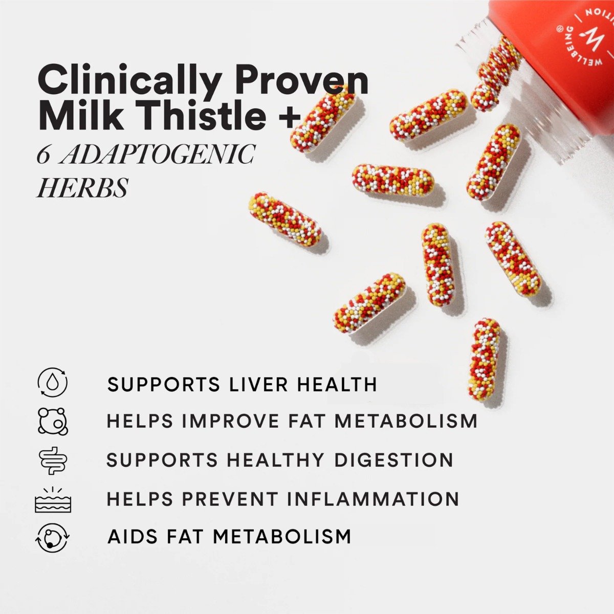 Wellbeing Nutrition Slow Liver Detox, 60 Capsules, Pack of 1 Wellbeing Nutrition Slow Liver Detox, 60 Capsules, Pack of 1