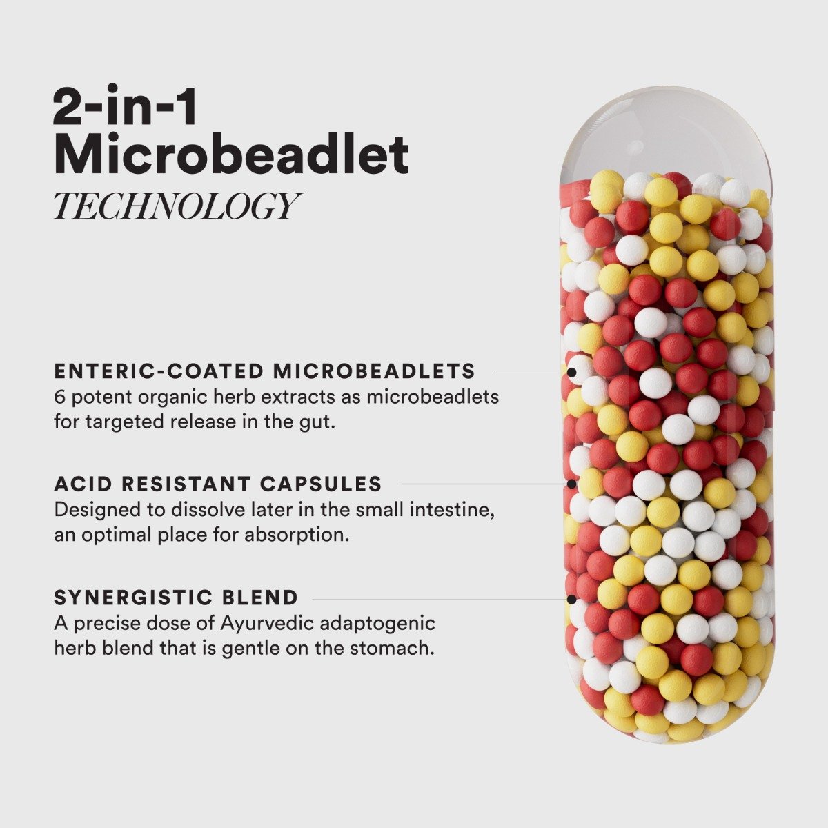 Wellbeing Nutrition Slow Liver Detox, 60 Capsules, Pack of 1 Wellbeing Nutrition Slow Liver Detox, 60 Capsules, Pack of 1