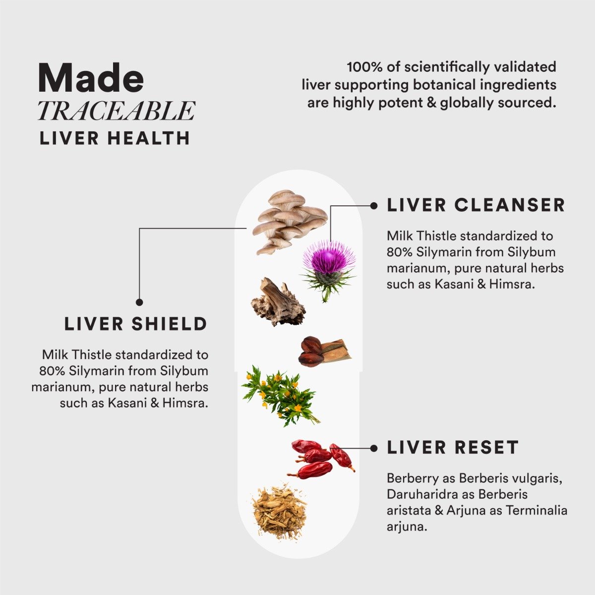 Wellbeing Nutrition Slow Liver Detox, 60 Capsules, Pack of 1 Wellbeing Nutrition Slow Liver Detox, 60 Capsules, Pack of 1