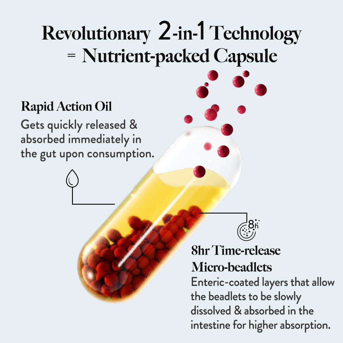 Wellbeing Nutrition Slow Multi + Omega for Her, 60 Capsules, Pack of 1 Wellbeing Nutrition Slow Multi + Omega for Her, 60 Capsules, Pack of 1