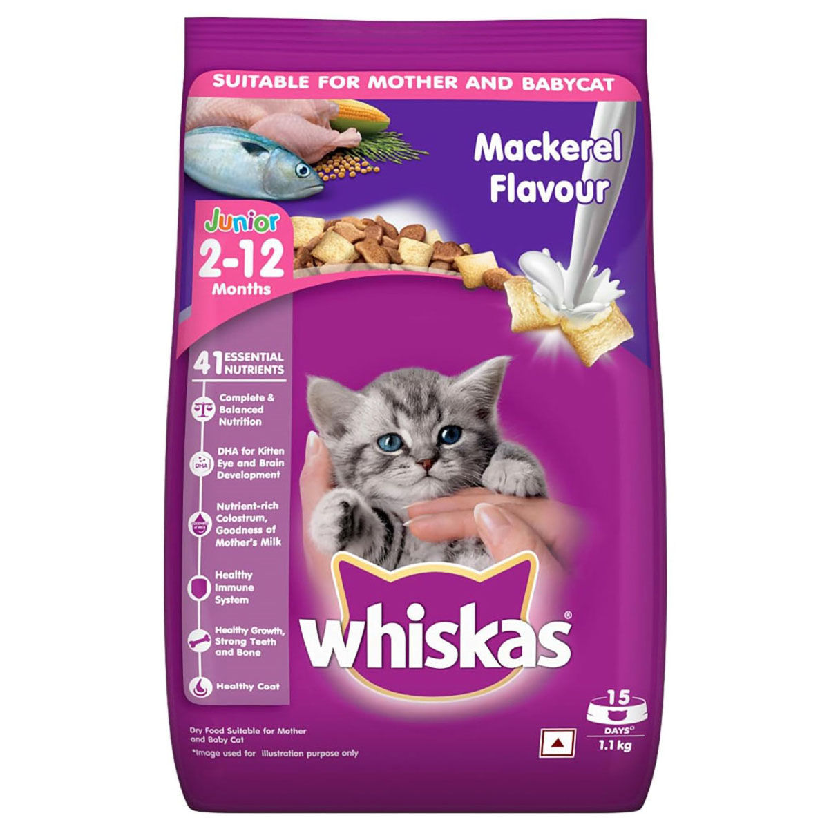 Baby cat food hotsell