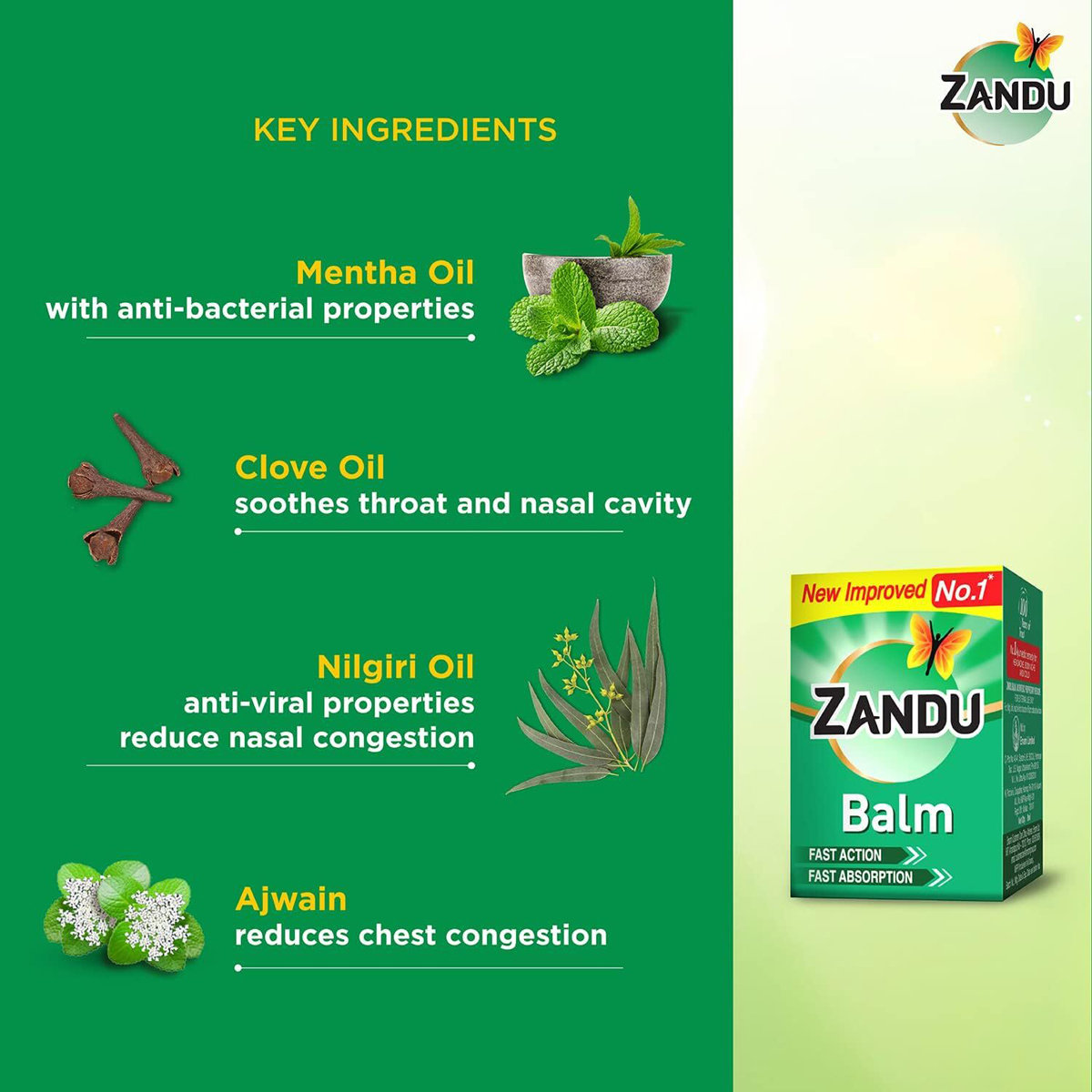 Zandu Balm, 50 ml, Pack of 1 Zandu Balm, 50 ml, Pack of 1