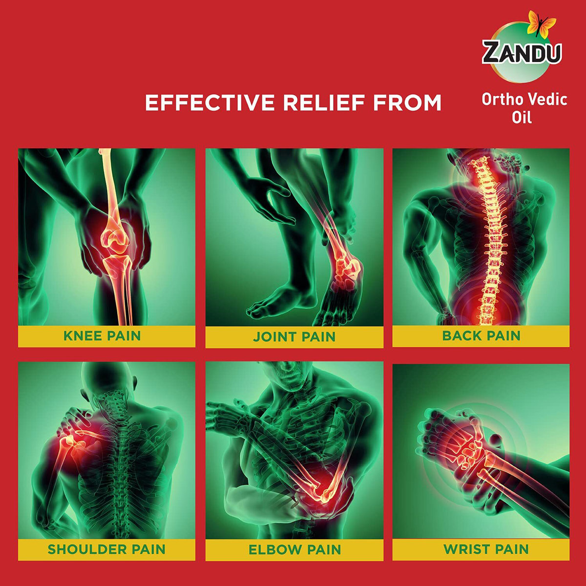 Zandu Ortho Vedic Oil, 100 ml, Pack of 1 Zandu Ortho Vedic Oil, 100 ml, Pack of 1